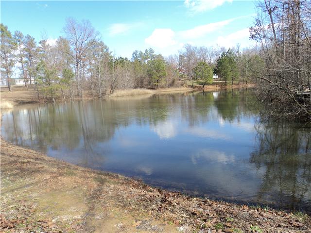 523 Fire Tower Road Dickson, TN 37055 - Photo 3 of 16 Very large Stocked Pond with dock