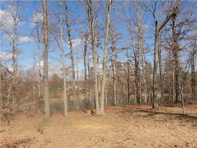 523 Fire Tower Road Dickson, TN 37055 - Photo 5 of 16 Some Wooded areas mostly Cleared