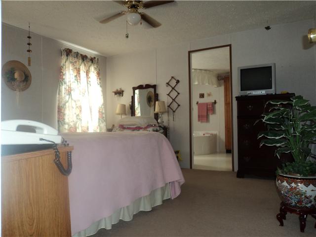 523 Fire Tower Road Dickson, TN 37055 - Photo 10 of 16 Master Bedroom with large bath