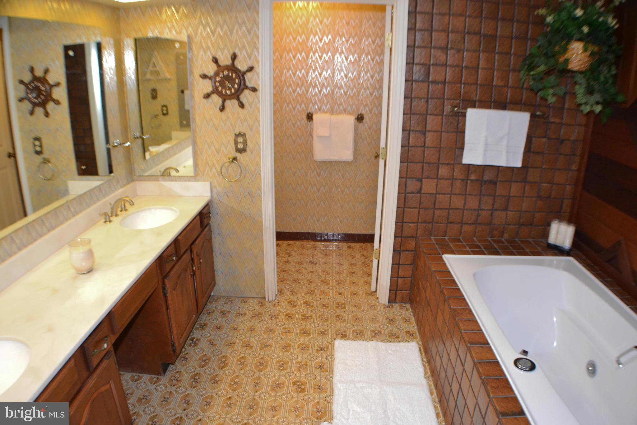 7424 Damascus Road Gaithersburg, MD 20882 - Photo 20 of 30 Bath (Master)