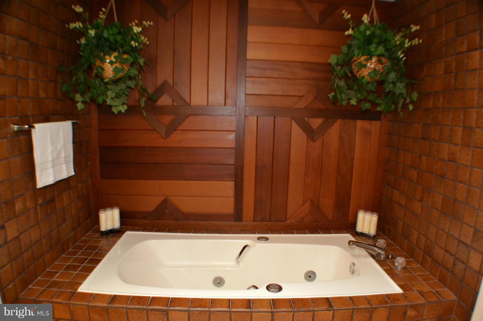 7424 Damascus Road Gaithersburg, MD 20882 - Photo 21 of 30 Bath (Master)
