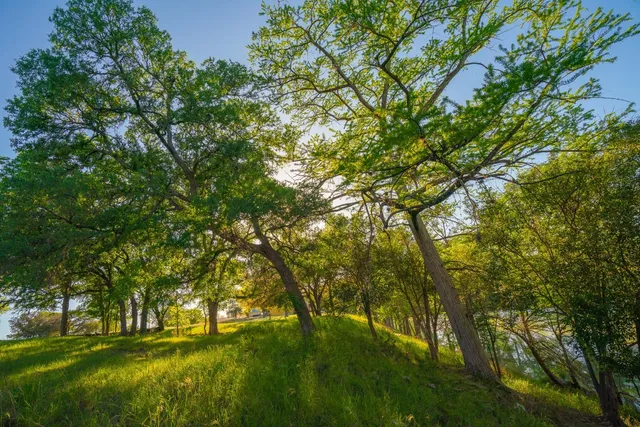 a backyard of a house with lots of trees
