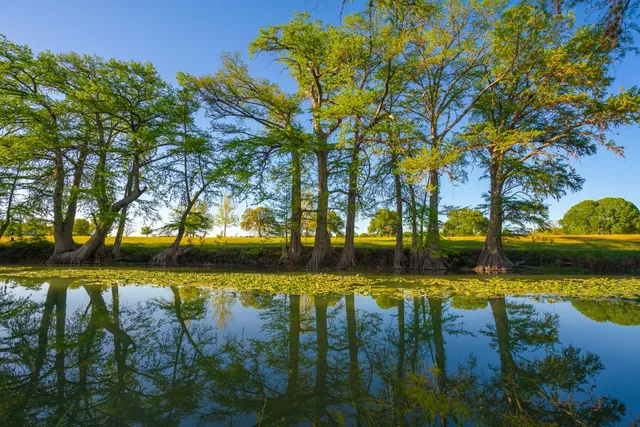 a view of a lake with houses