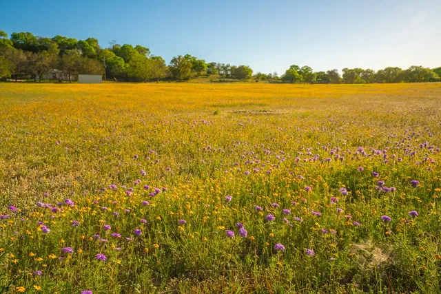 a view of an ocean from a mountain