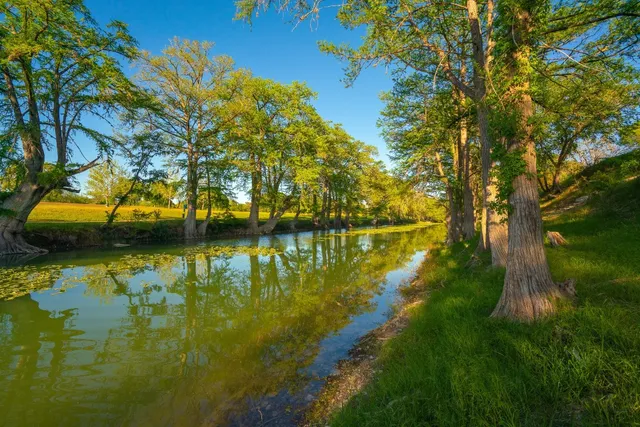 a view of a swimming pool and an outdoor space