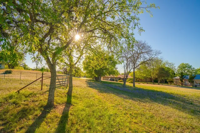a view of yard with green space