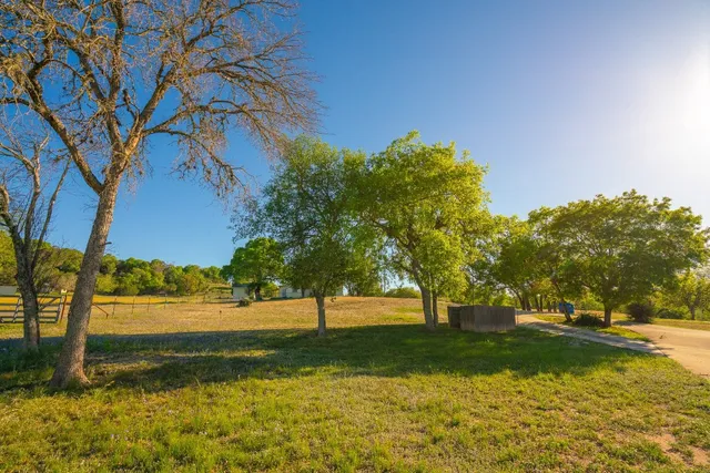a view of yard with trees