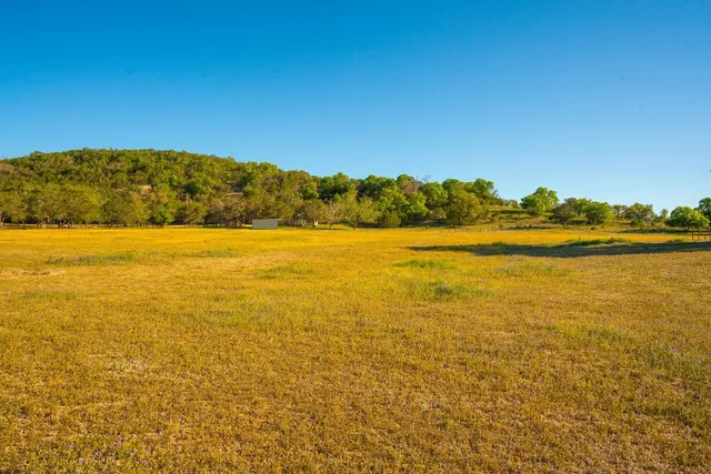 a view of a yard with a tree
