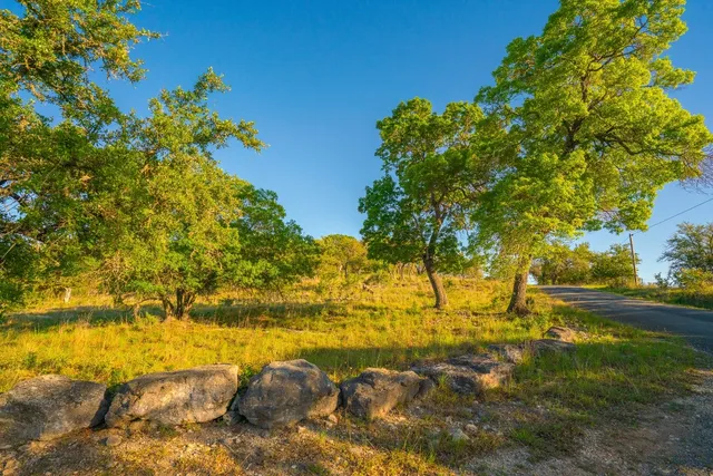 a view of yard with trees