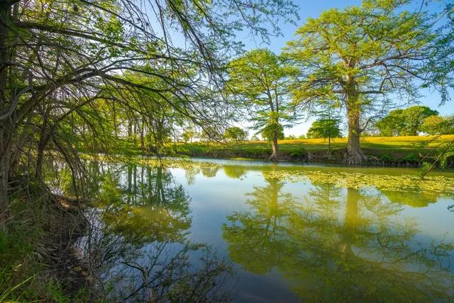 a view of an ocean and beach