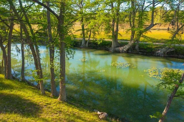 a view of swimming pool next to a yard with large trees