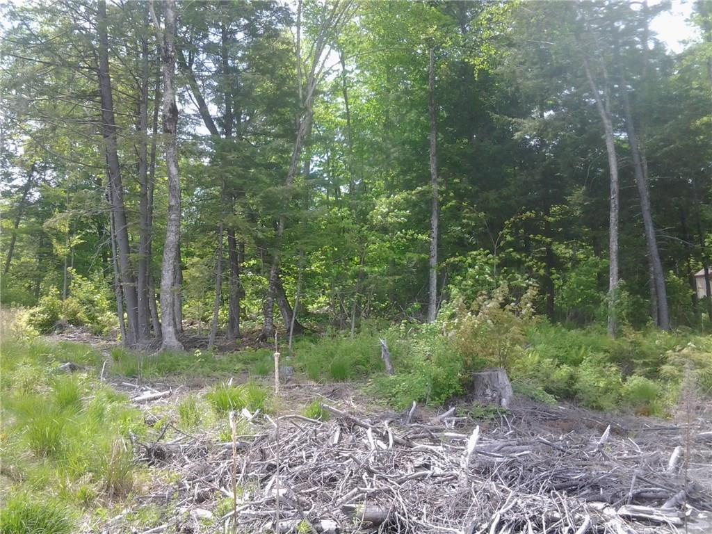 Lot 21 Embden Pond Road Embden, ME 04958 - Photo 6 of 7 Photo