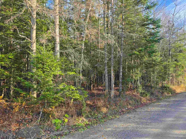 $140,000 | Hawkins Road, Dummer, NH 03588