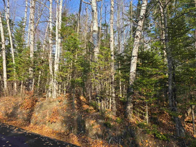 $150,000 | Hawkins Road, Dummer, NH 03588
