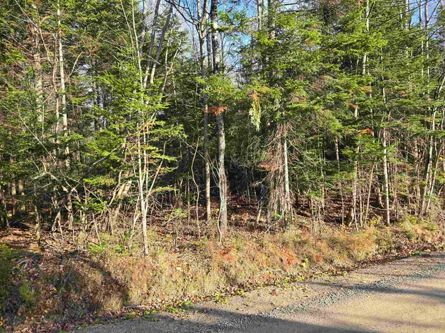 $150,000 | Hawkins Road, Dummer, NH 03588