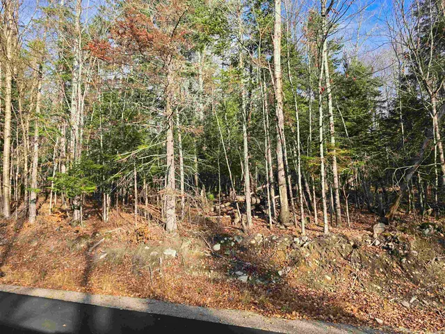 $150,000 | Hawkins Road, Dummer, NH 03588