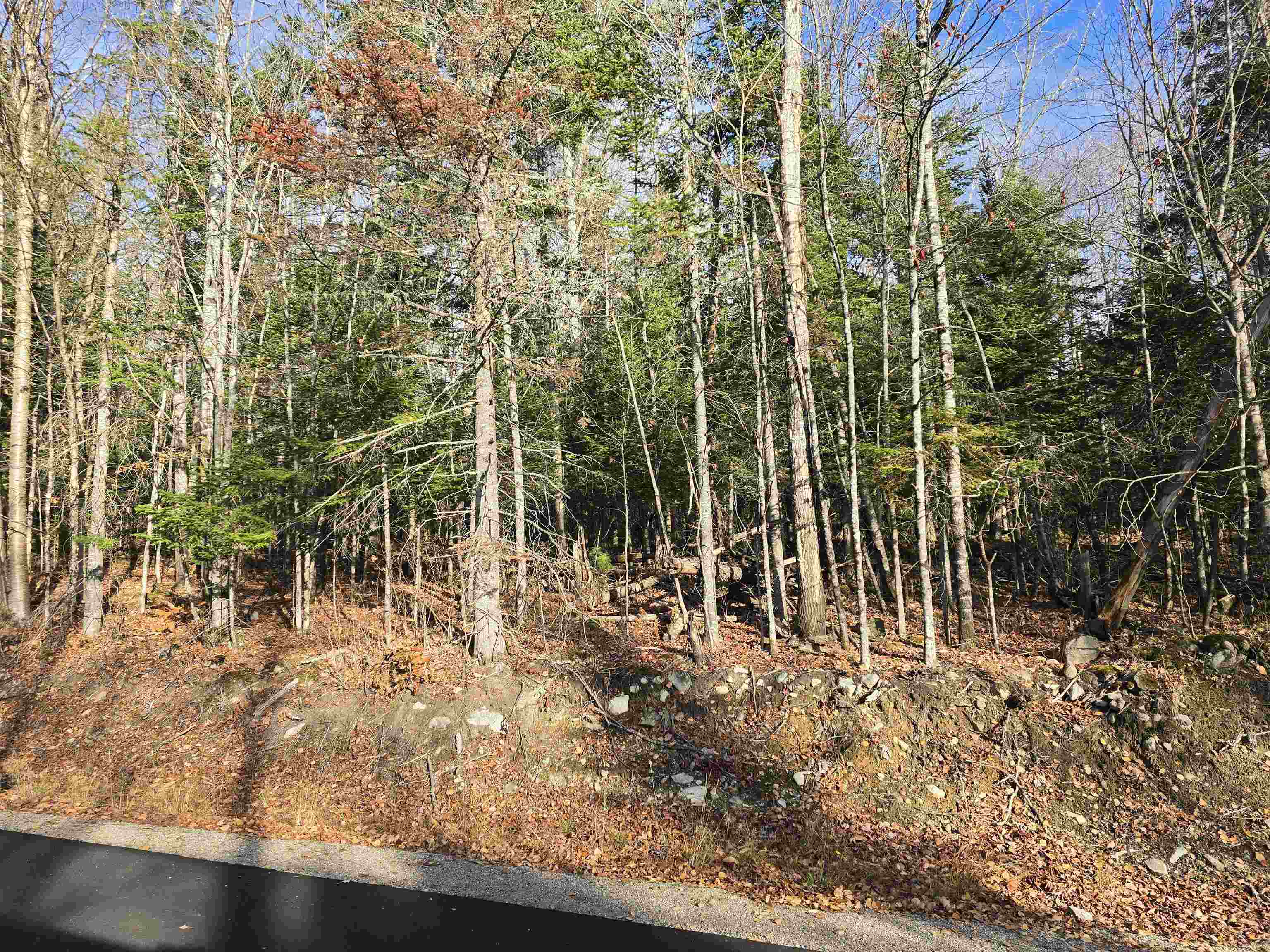 Hawkins Road Dummer, NH 03588 - Photo 7 of 9