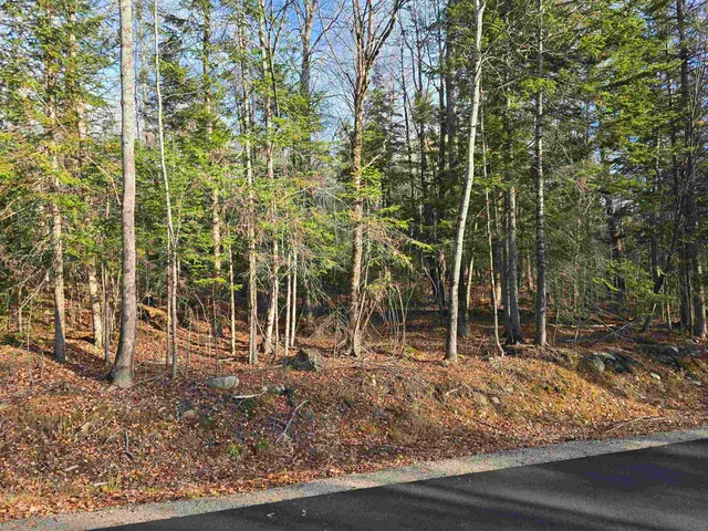 $150,000 | Hawkins Road, Dummer, NH 03588