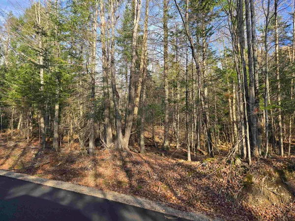 $140,000 | Hawkins Road, Dummer, NH 03588