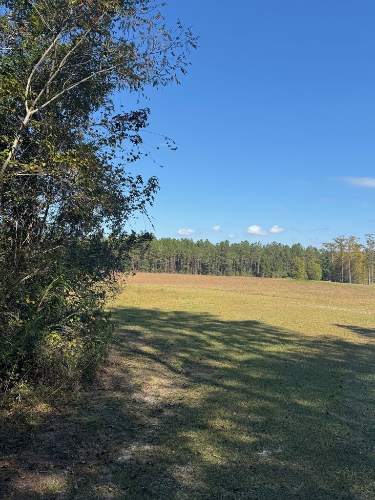 0 Russell Road Samson, AL 36477 - Photo 5 of 32