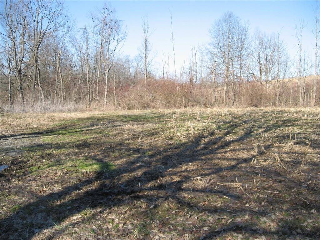 Tbd Pole Cat Road Mount Pleasant, PA 15666 - Photo 2 of 4 Gallery Image 2