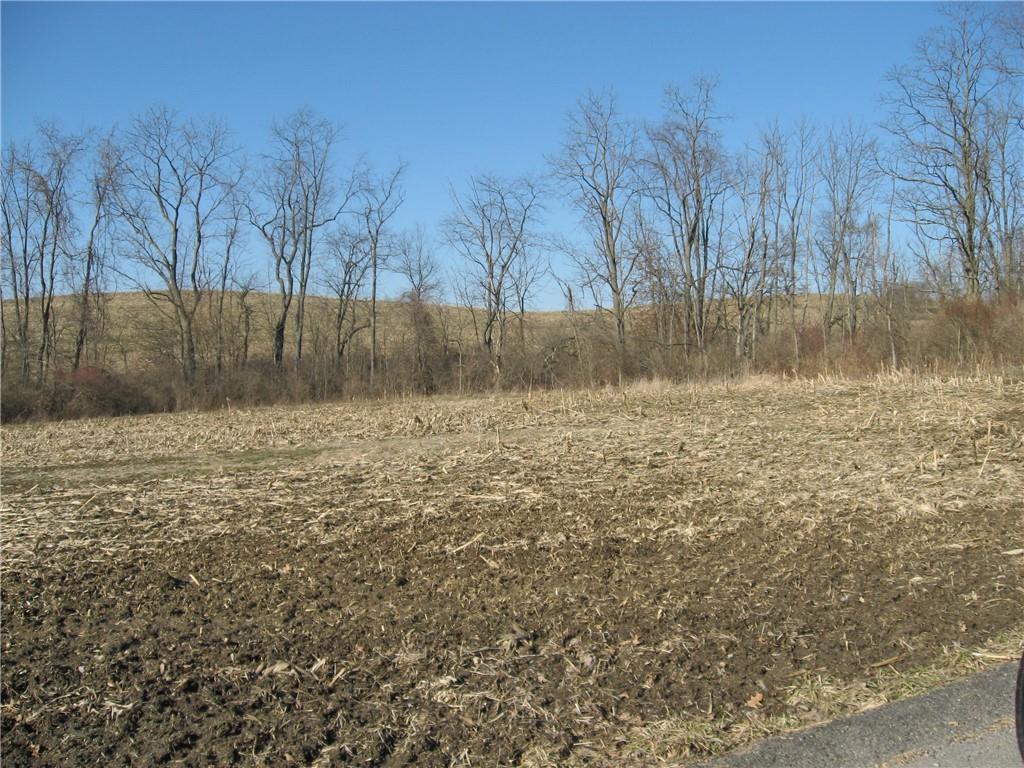 Tbd Pole Cat Road Mount Pleasant, PA 15666 - Photo 4 of 4 Gallery Image 4