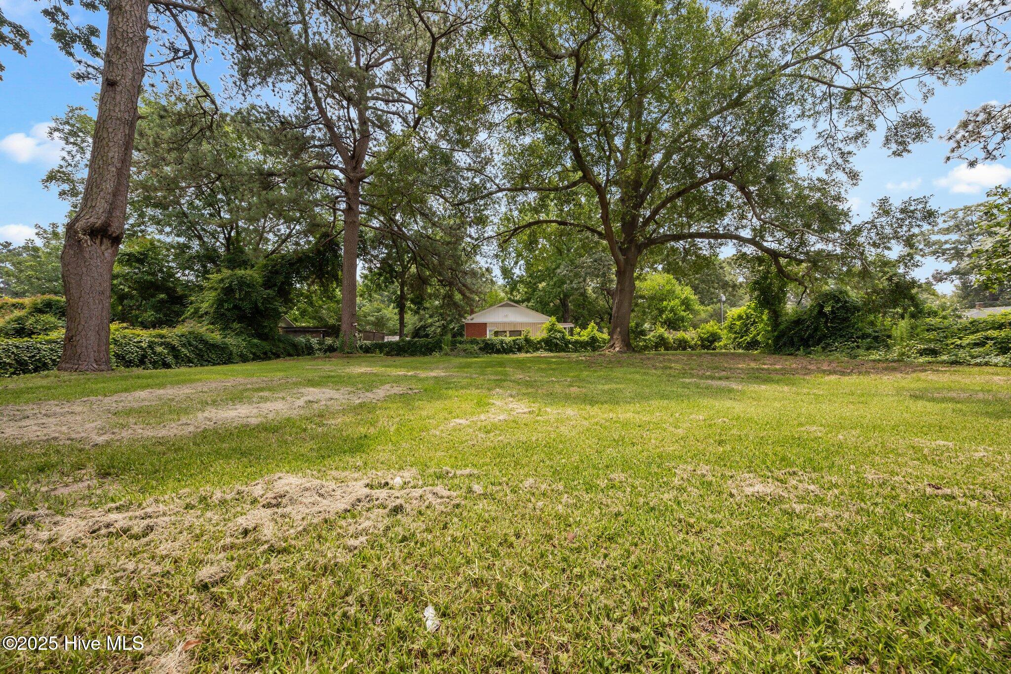 1955 Banks School Road Kinston, NC 28504 - Photo 4 of 45 4-web-or-mls-IMG_5463