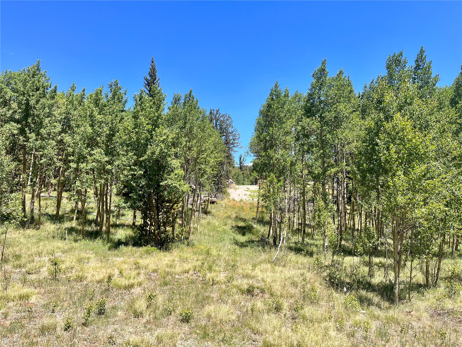845 Adventure Road Alma, CO 80420 - Photo 27 of 31 Gallery Image 27