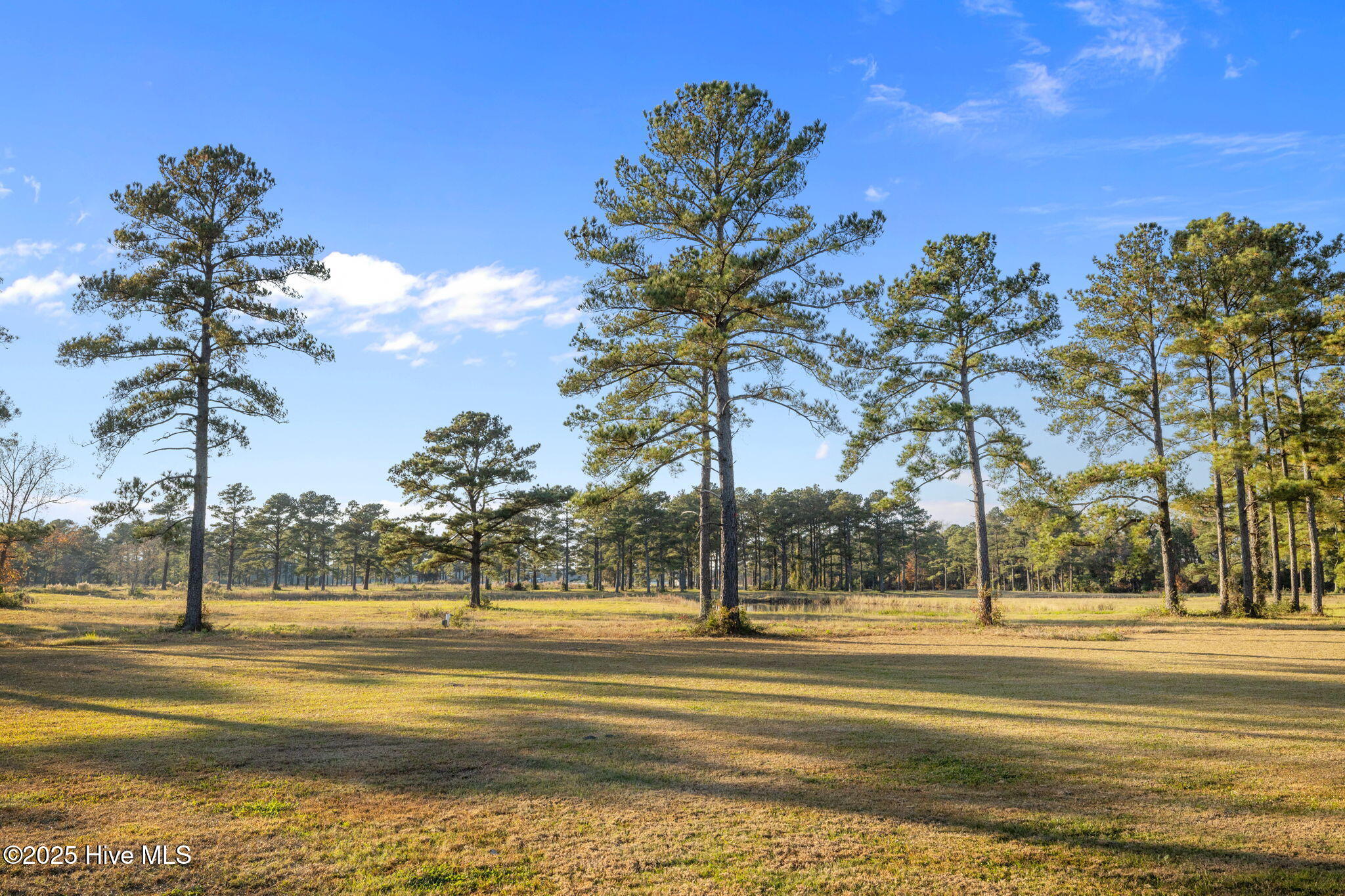 601 Peletier Loop Road, Unit K63 Peletier, NC 28584 - Photo 28 of 28 8-web-or-mls-1S3A5532
