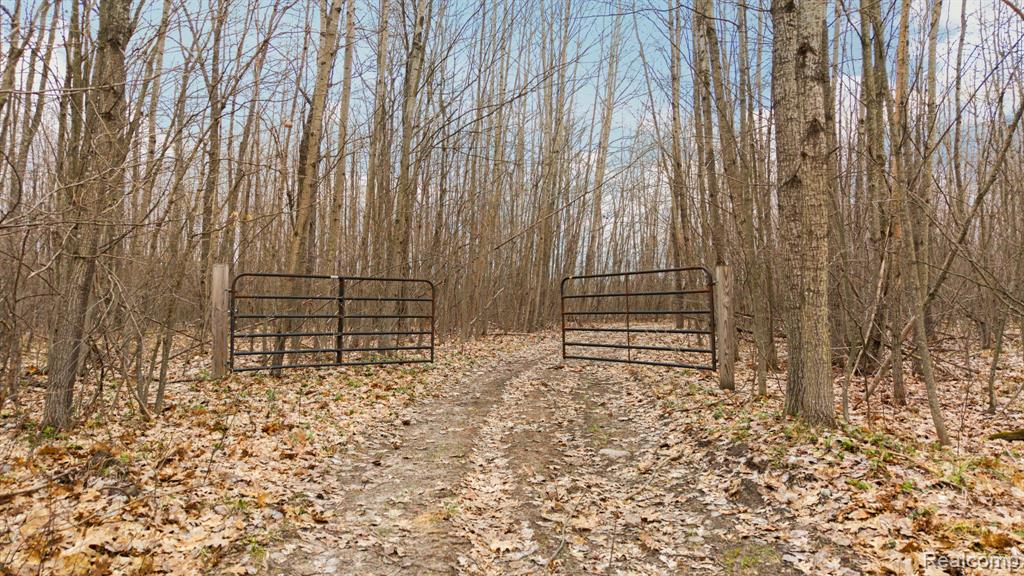 0 North Fairview Road West Branch, MI 48661 - Photo 10 of 14