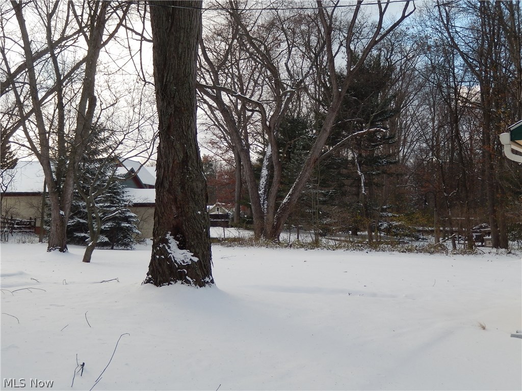 6460 Brecksville Road Independence, OH 44131 - Photo 29 of 32 Back yard