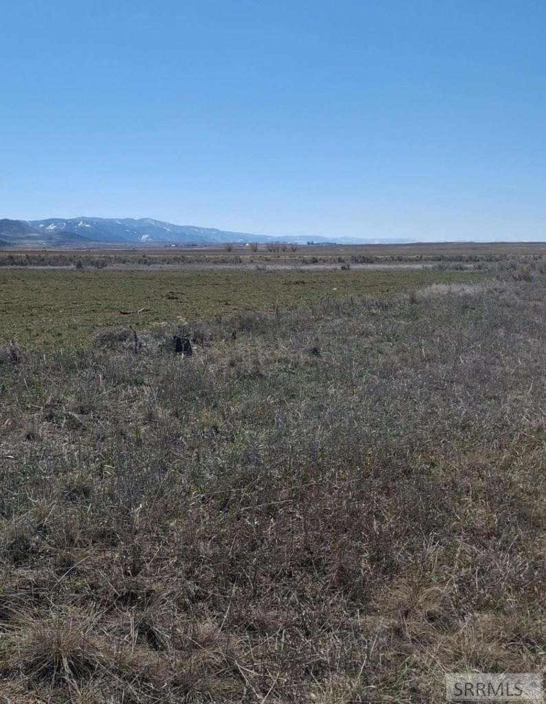 Tbd Tbd Talmage Bancroft, ID 83217 - Photo 5 of 6