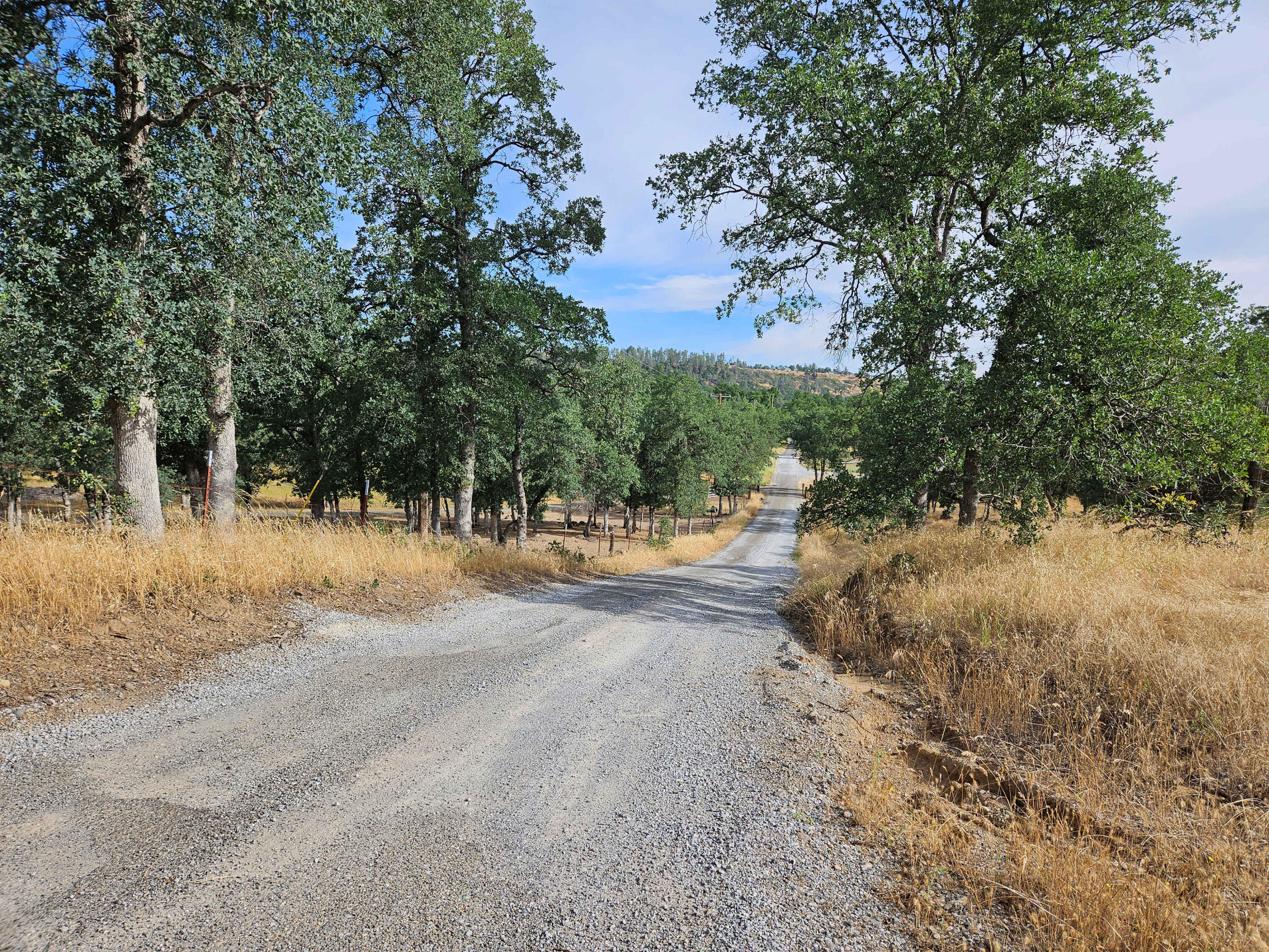 234-acres Beaver Road Oak Run, CA 96069 - Photo 15 of 45 Gravel Road