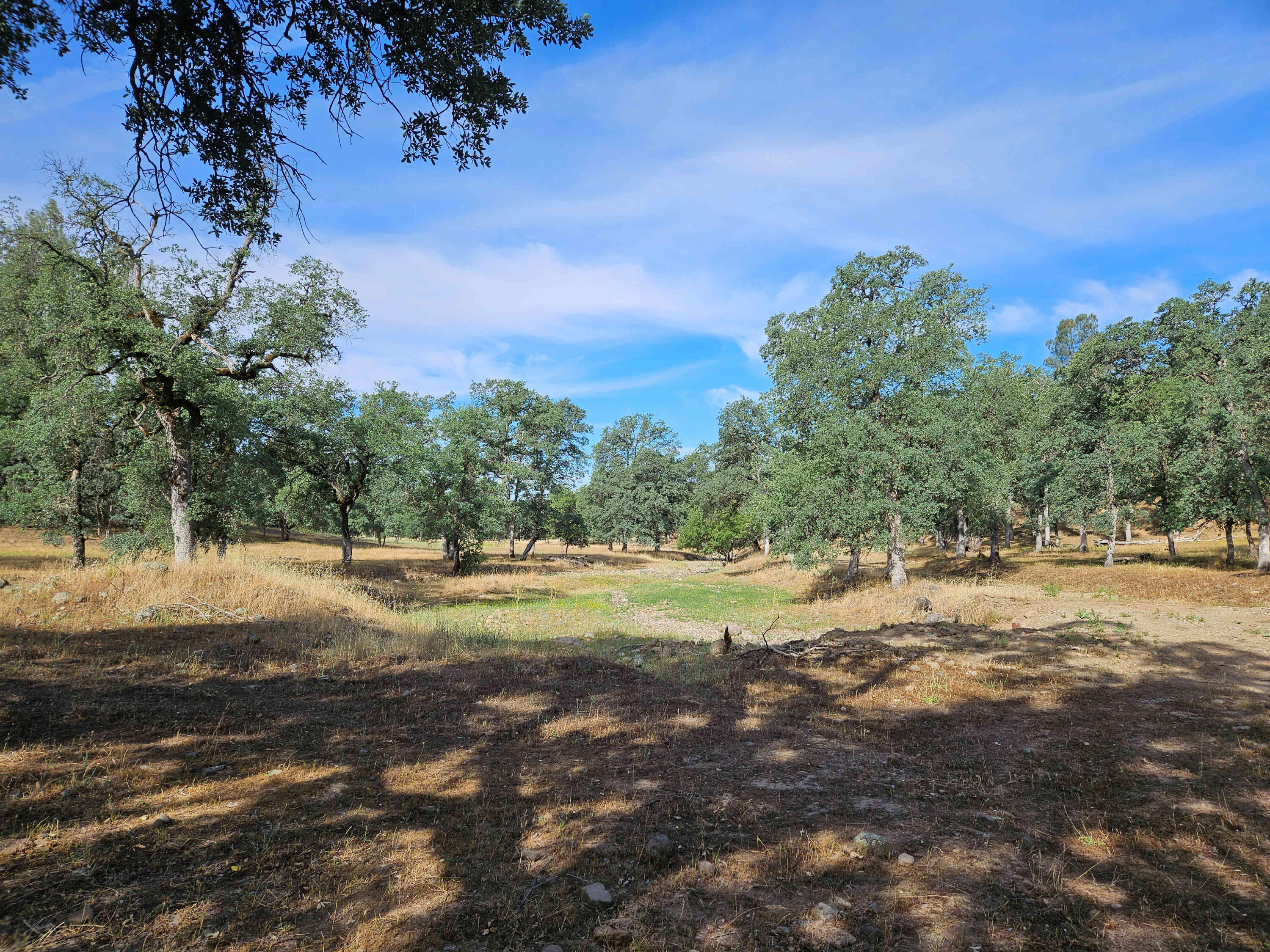 234-acres Beaver Road Oak Run, CA 96069 - Photo 16 of 45 Level terrain