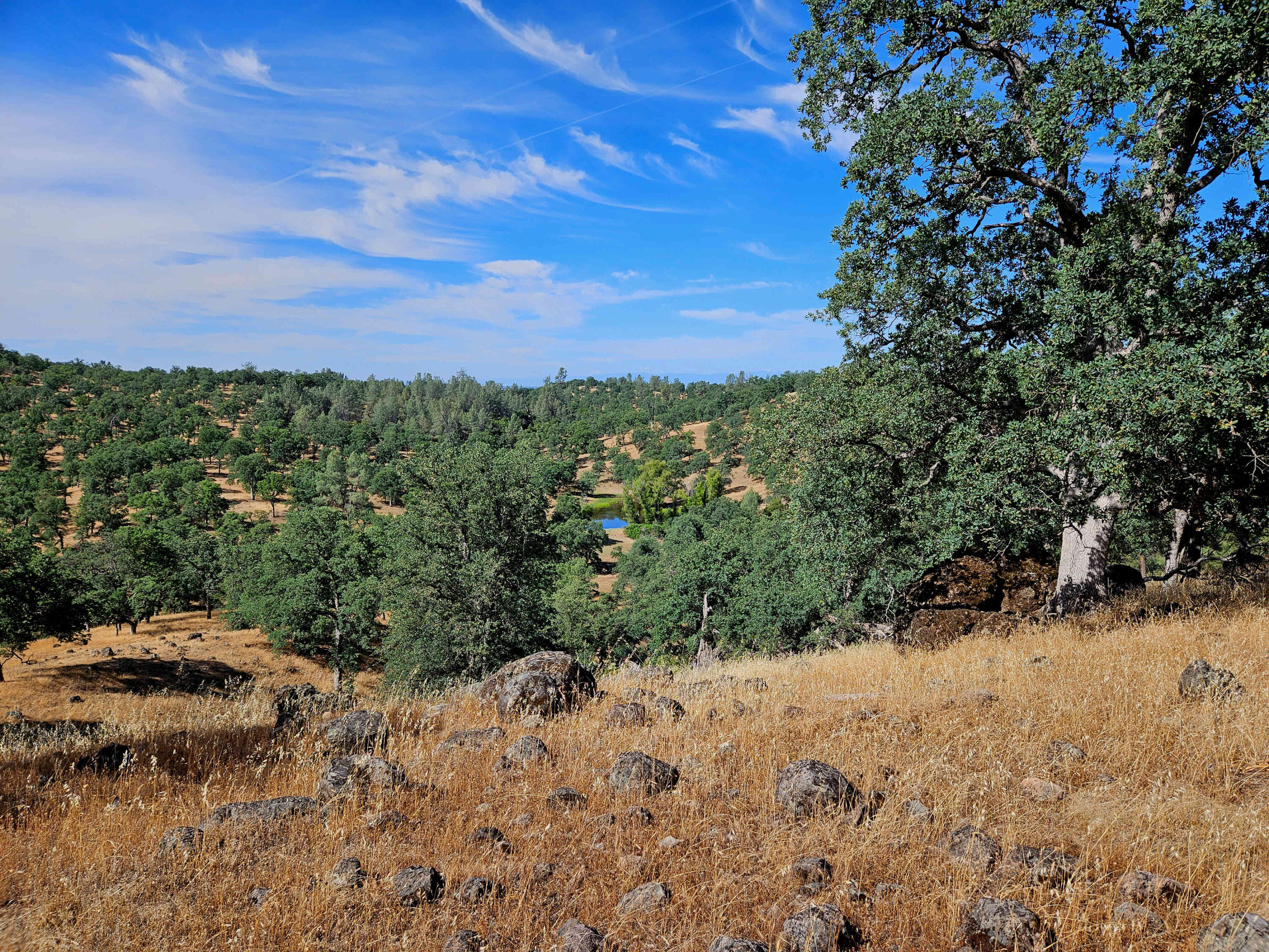 234-acres Beaver Road Oak Run, CA 96069 - Photo 29 of 45 Pond and western view