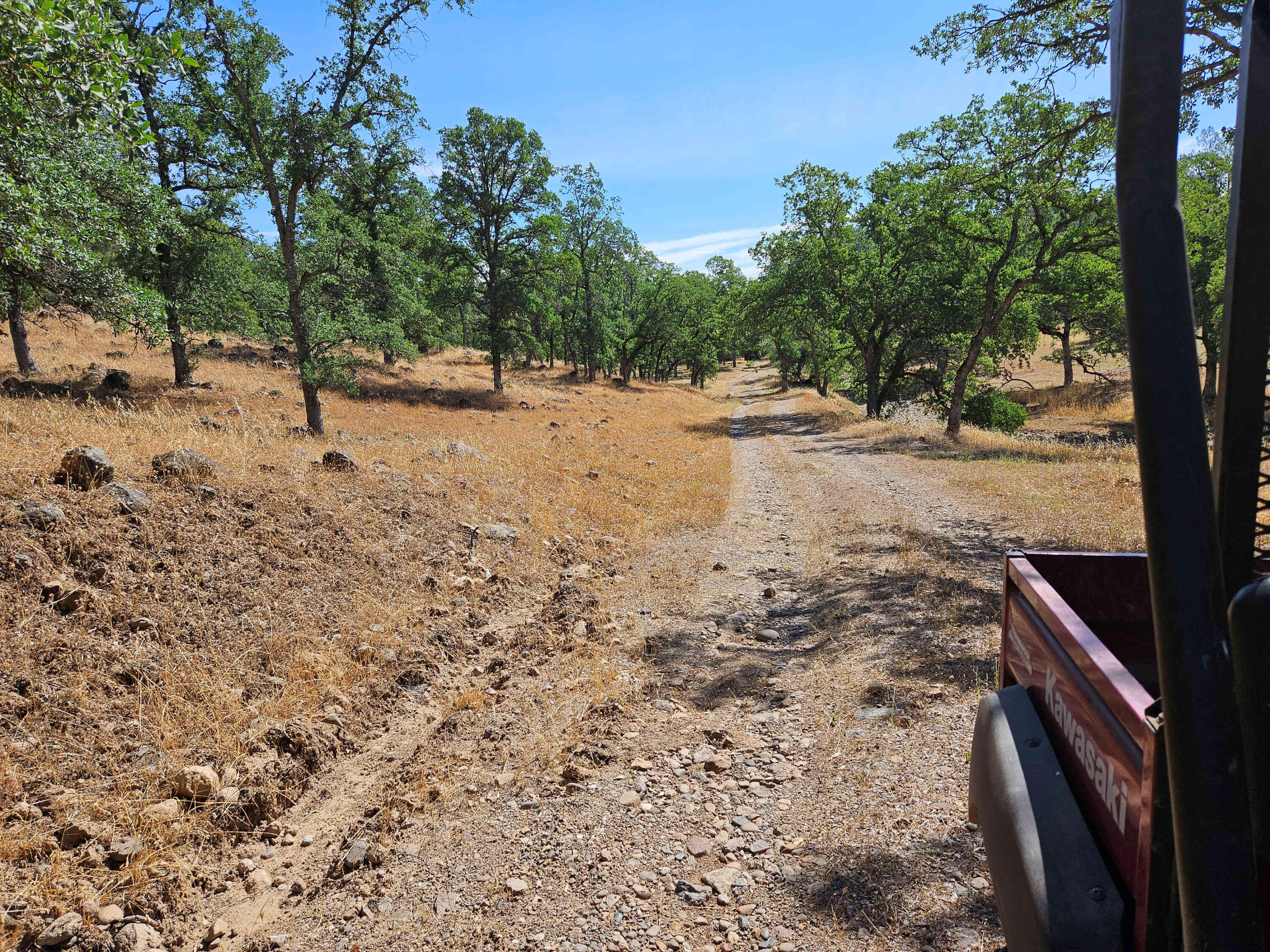 234-acres Beaver Road Oak Run, CA 96069 - Photo 34 of 45 Road on the property
