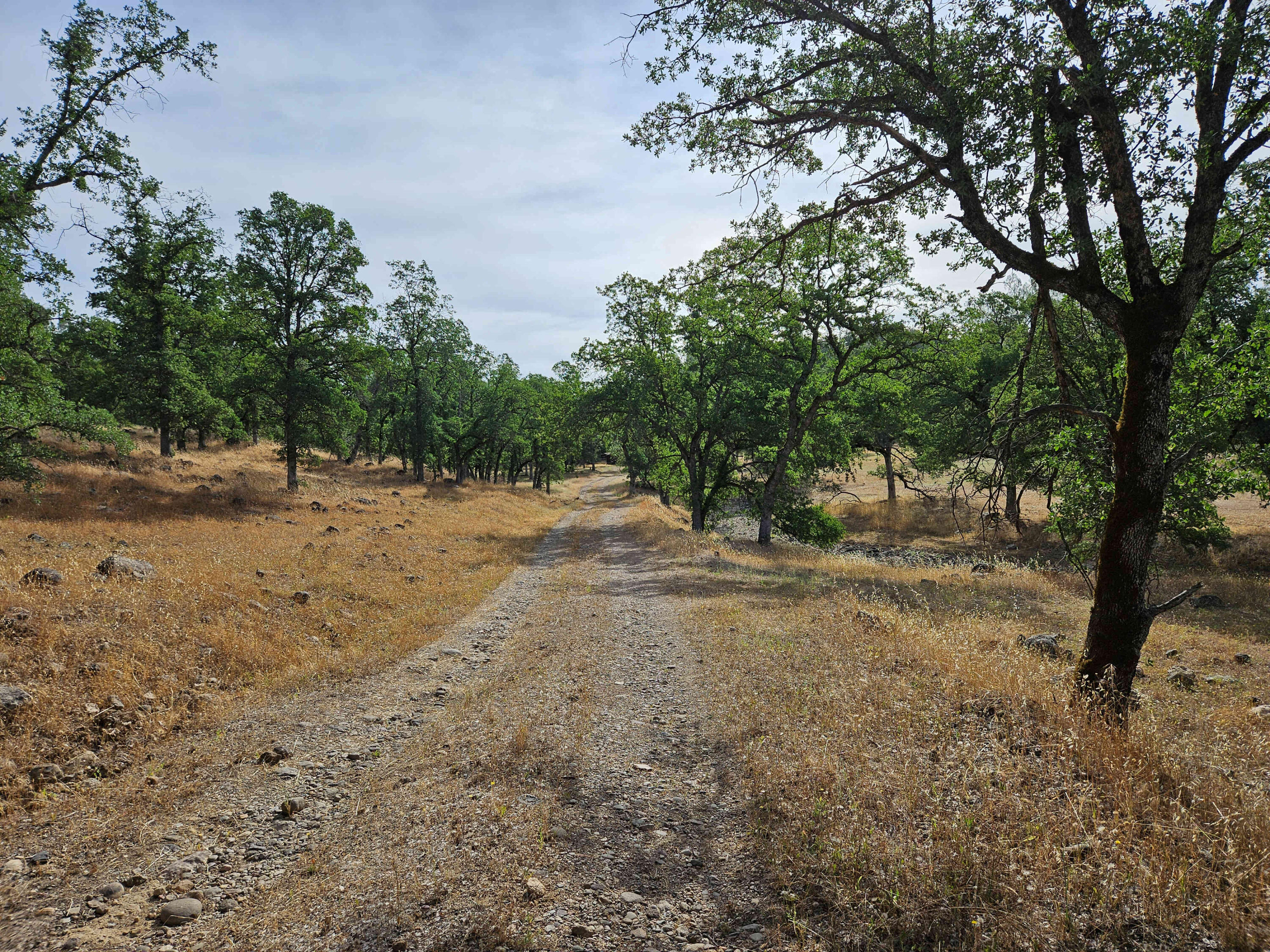 234-acres Beaver Road Oak Run, CA 96069 - Photo 35 of 45 Road to barn