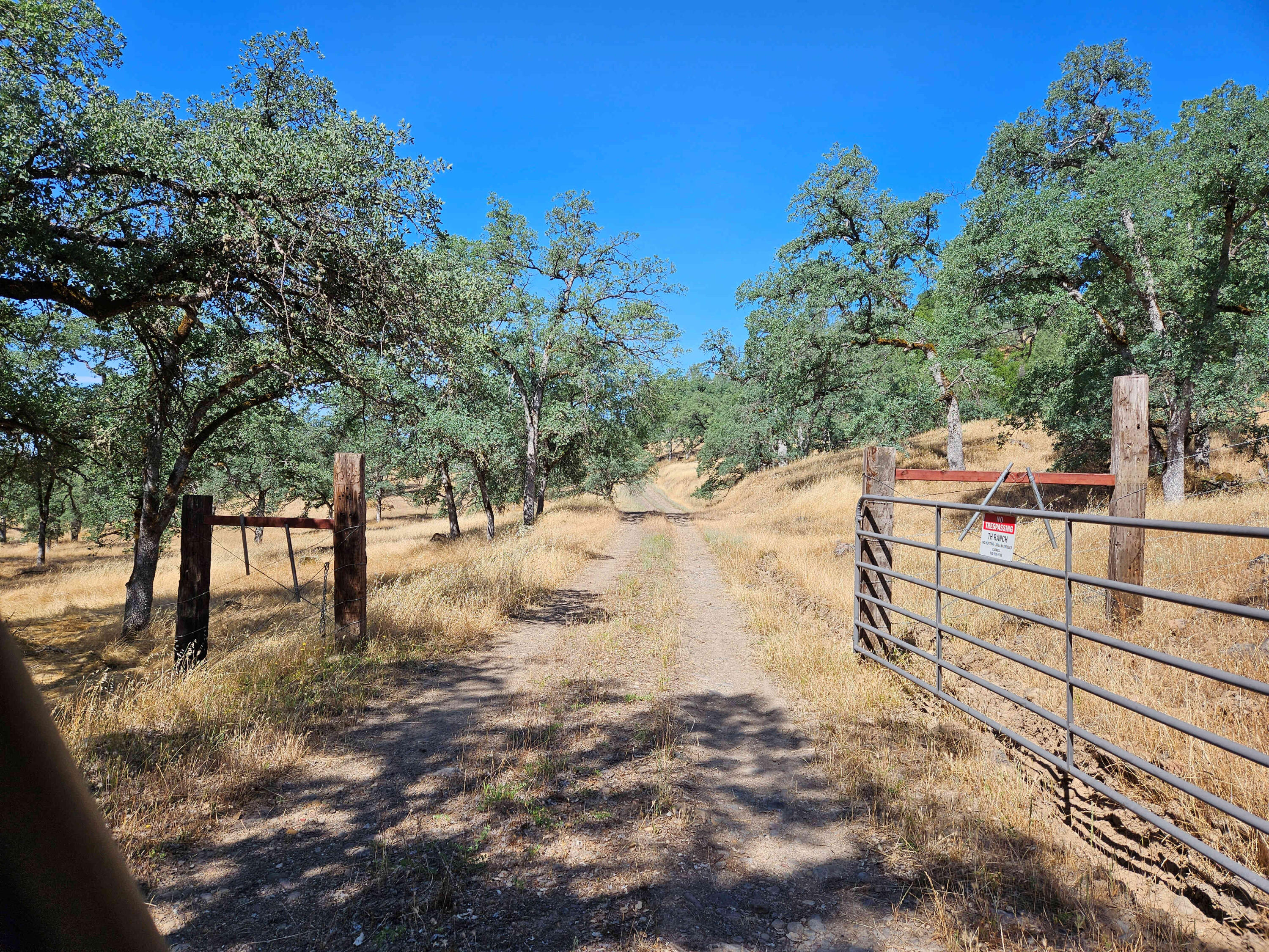 234-acres Beaver Road Oak Run, CA 96069 - Photo 36 of 45 Road to lower area