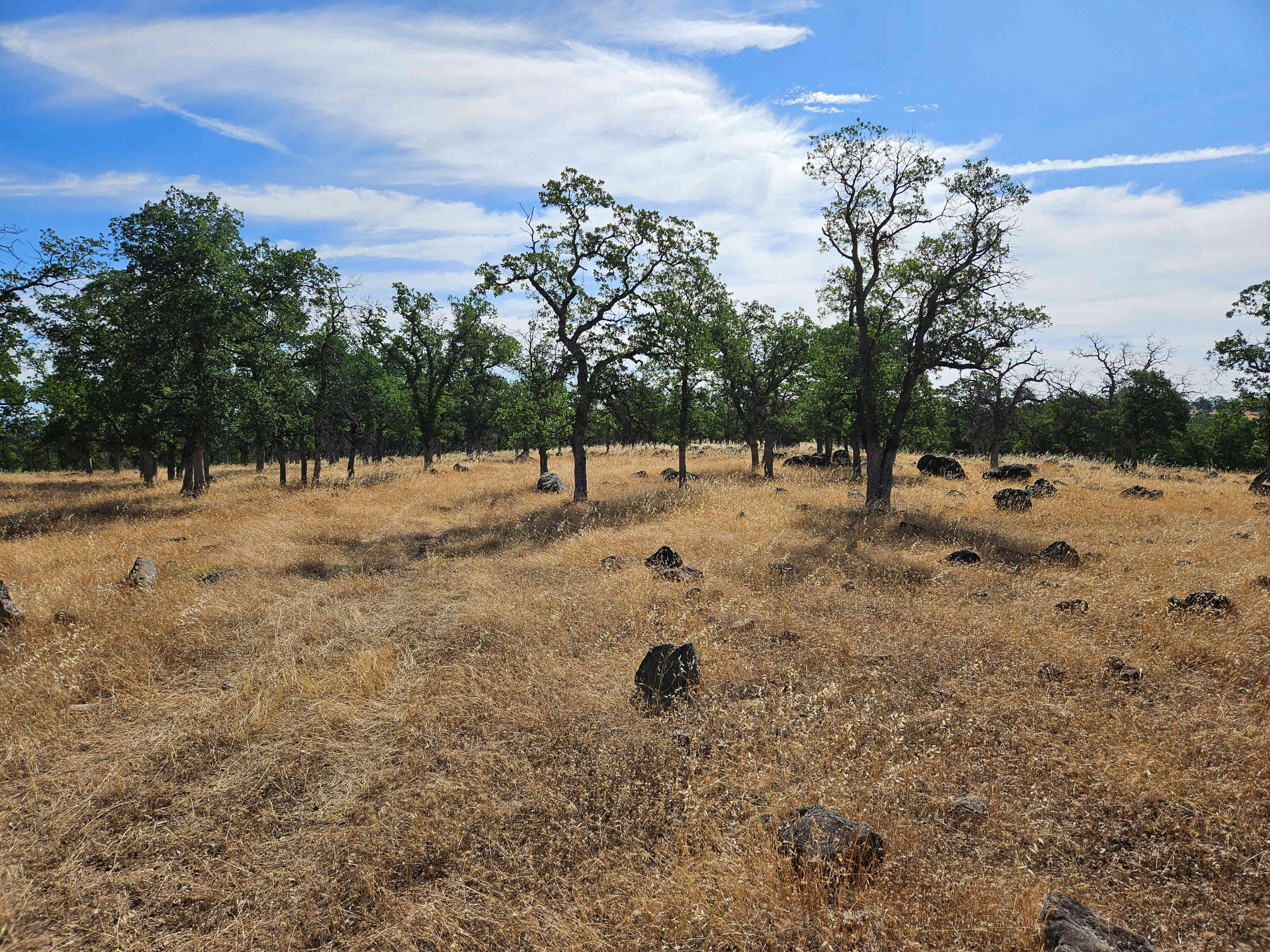 Gentle ridgetop