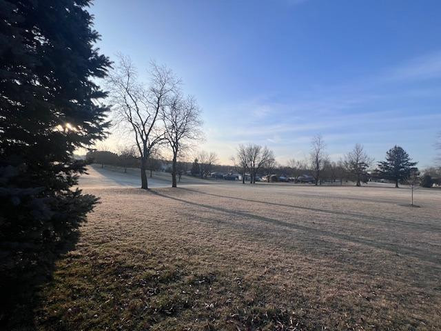 1286 Brandywine Road Crown Point, IN 46307 - Photo 27 of 30 a view of dirt yard with a large tree