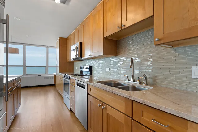 $399,000 | 4800 South Chicago Beach Drive, Unit 100102, Chicago, IL 60615