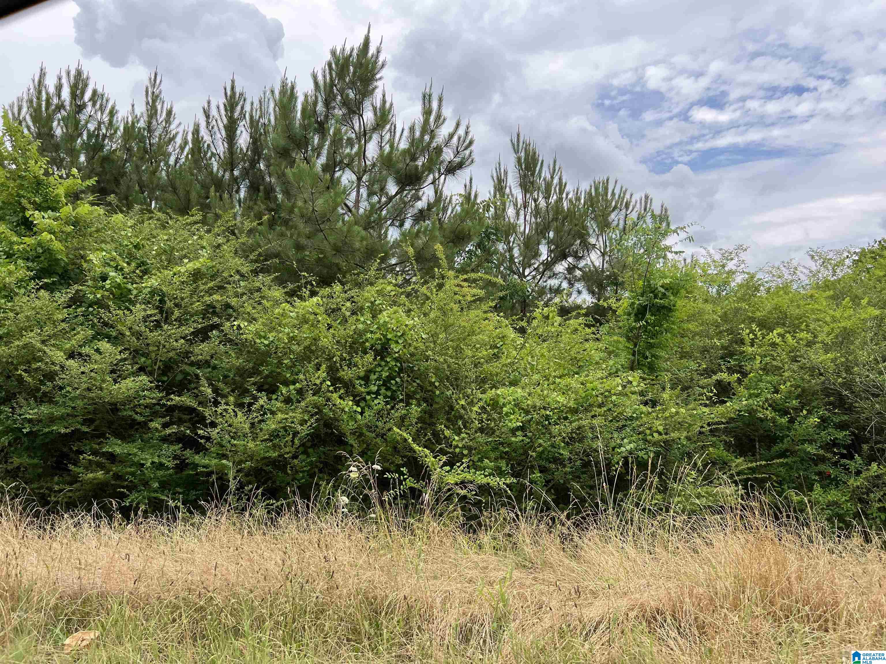 0 Stemley Bridge Road Talladega, AL 35160 - Photo 1 of 1
