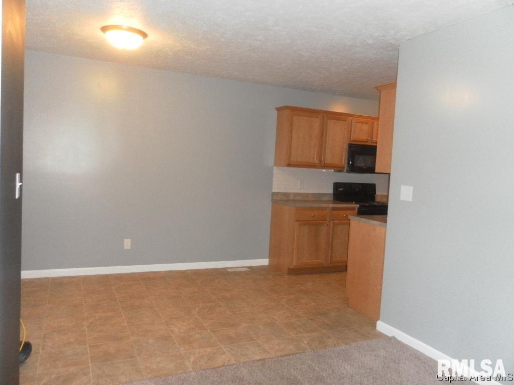 1617 North 20th Street Springfield, IL 62702 - Photo 3 of 15