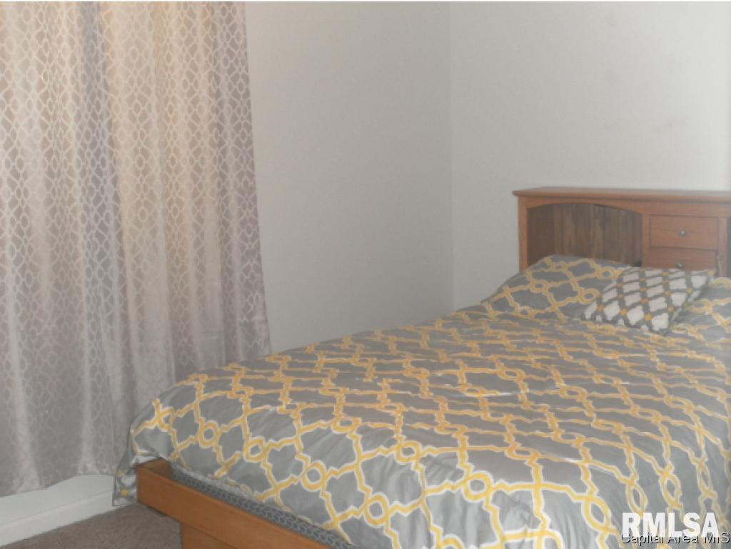 1617 North 20th Street Springfield, IL 62702 - Photo 10 of 15