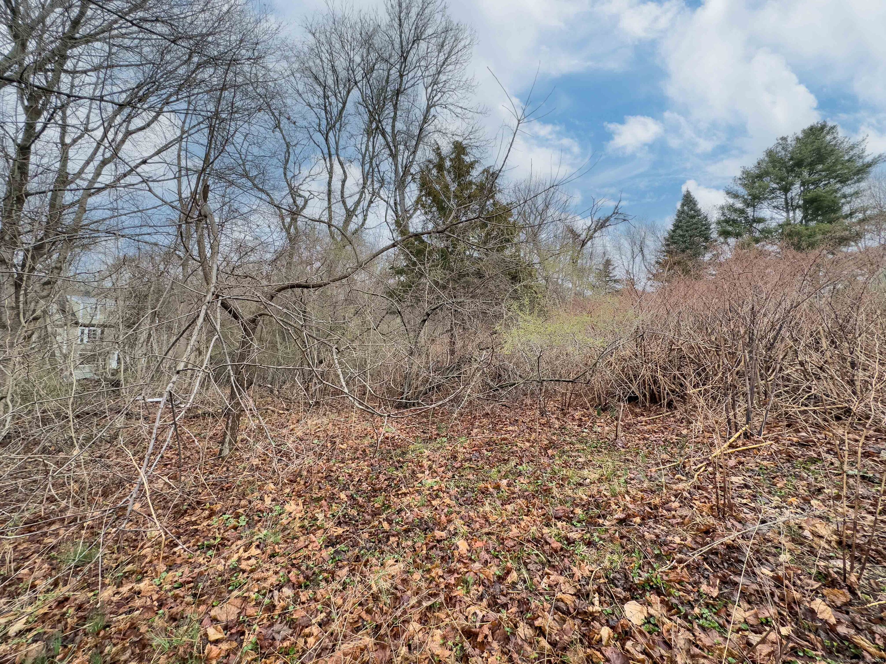 93 South Broad Street Pawcatuck, CT 06379 - Photo 4 of 4 a view of a yard