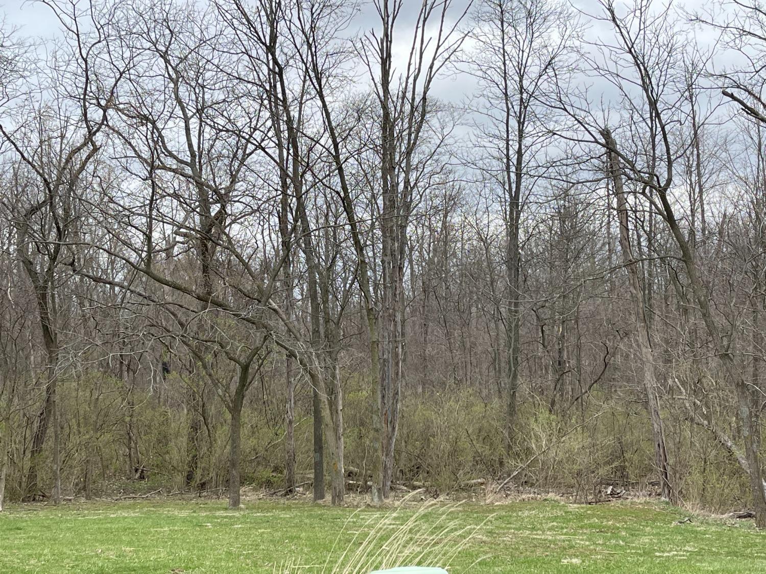 971 South State Rte 72 Sabina, OH 45169 - Photo 1 of 1 Gallery Image 1