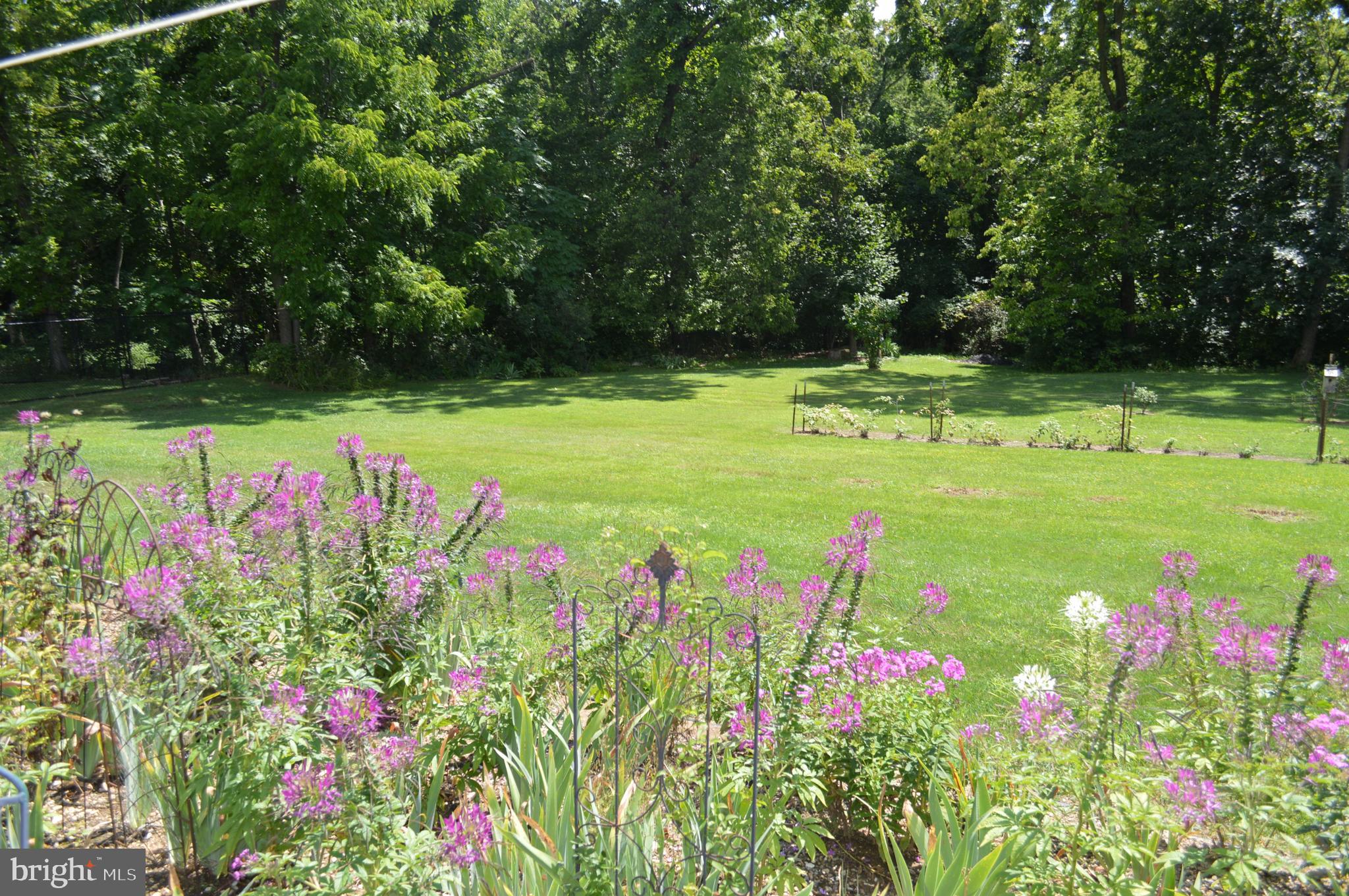 3763 Spring Road Carlisle, PA 17013 - Photo 64 of 80 Gallery Image 64