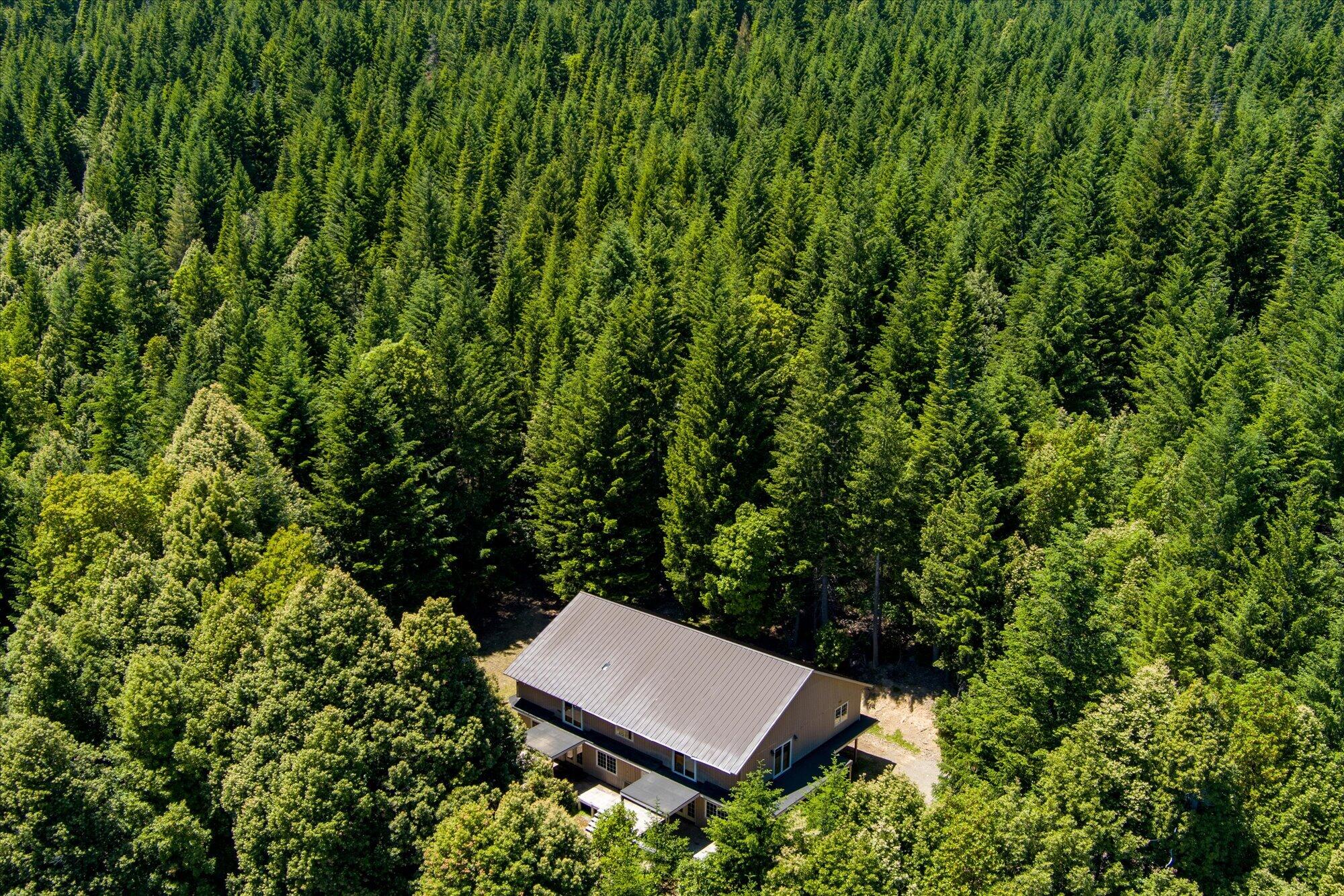 0 Forest Rte 4N20 Road Hayfork, CA 96041 - Photo 19 of 22