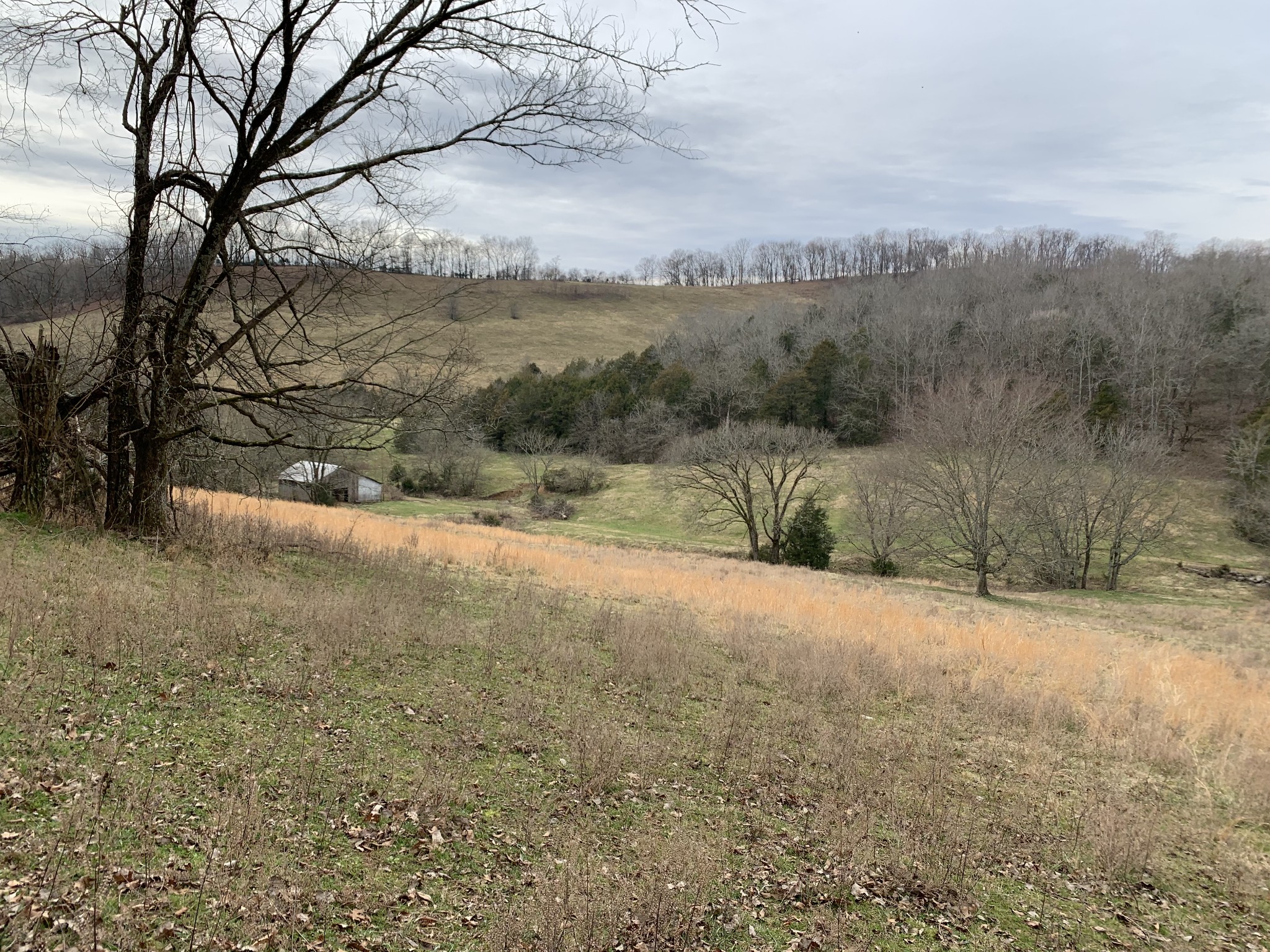 0 Booneville Road Fayetteville, TN 37334 - Photo 3 of 24 Gallery Image 3