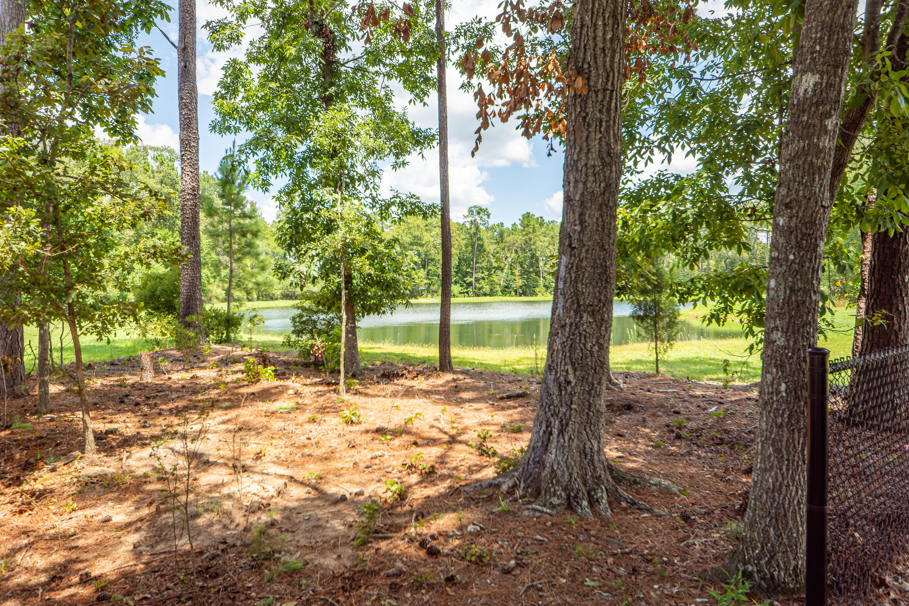 303 Freeland Way Moncks Corner, SC 29461 - Photo 41 of 46 41